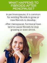 uterine fibroids after menopause shecares