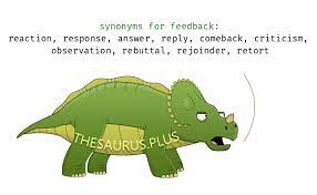feedback synonyms similar words