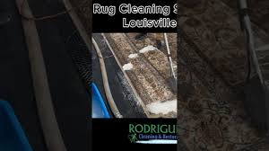 rug cleaning services louisville ky