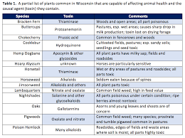 Poisonous Weeds In Your Pastures