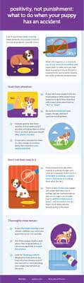 potty training your puppy doesn t have