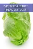 Is a head of lettuce the same as iceberg lettuce?