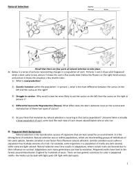 Format your references consistent with apa guidelines. 32 Darwins Natural Selection Worksheet Answer Key Worksheet Resource Plans