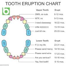Parents Share A Babyologys Baby Teething Chart Daily Mail