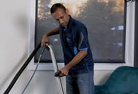 carpet cleaning palmerston north top