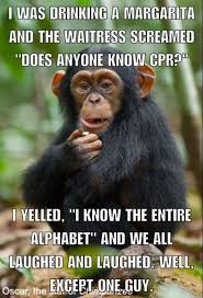 Monkey humor famous quotes & sayings: Pin On Funnies