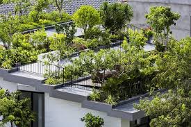 Rooftop Gardening A Step To Self