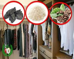 Read on for three methods, using different products, to eliminate mold and mildew on clothes. How To Remove Mold From Clothes