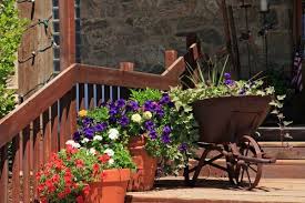 15 Amazing Wheelbarrow Planter Ideas