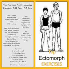 Workout For Ectomorphs Ectomorph Workout Muscle Gain Diet