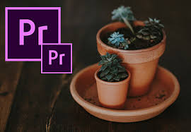 This course is meant for people who are new to editing or feel they still have skills to learn. 10 Free Adobe Premier Tutorials Courses Learn Adobe Premier Pro Online 2021 Updated