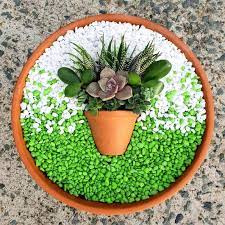 Artistic Succulent Dish Garden