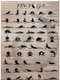 volume 41 jan 1 2017 yin yoga