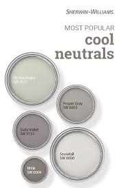 popular cool neutral paint colors