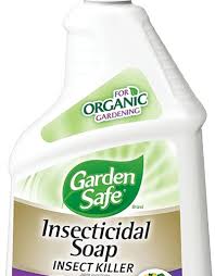 garden safe insecticidal soap insect