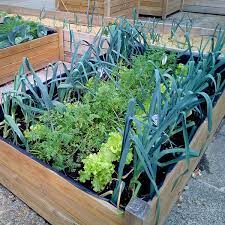 Urban Gardening Contributing To Your