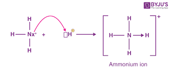 Ammonium Ion Nh4 Explanation