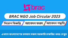 BD Govt Job Circular 2023 - BD Govt Job Circular