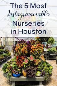 Insta Worthy Nurseries In Houston