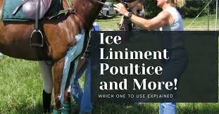 ice liniment poultice oh my top