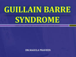 These nerves send messages from the brain to the muscles, instructing the muscles to move. Guillain Barre Syndrome
