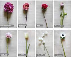 Plan to get a flower bouquet for your girl? Common Flowers In Bouquets All Products Are Discounted Cheaper Than Retail Price Free Delivery Returns Off 67