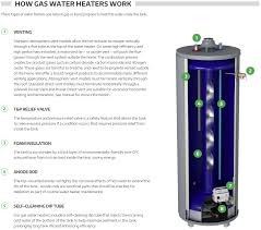 Natural gas and liquid propane gas heaters are cheaper to operate than standard electric. A O Smith Signature 40 Gallon Tall 6 Year Limited 33000 Btu Liquid Propane Water Heater In The Gas Water Heaters Department At Lowes Com