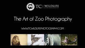 The Art of Zoo Photography Talk — TC Wildlife Photography