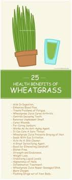 25 wonderful wheatgr juice benefits