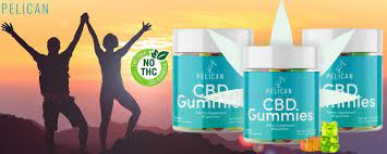 NB Natures Boost CBD Gummies  Does it Truly Work?