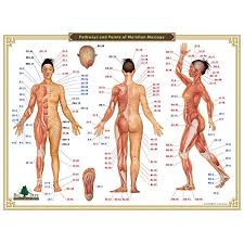 Acupressure Chart 12 Meridians And Points