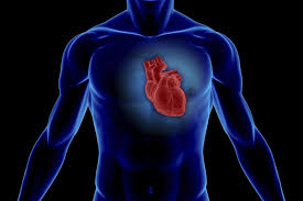 Eine herzmuskelentzündung ist oft die folge eines harmlosen grippalen infekts. Herzmuskelentzundung Nach Corona Virusmaterial Im Herzen Nachgewiesen Management Krankenhaus