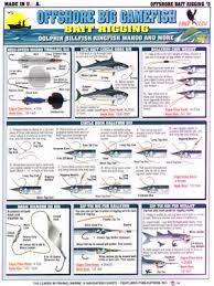 Tightlines Offshore Big Gamefish Bait Rigging 5