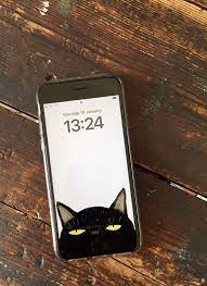 Funny Cat Iphone Wallpaper