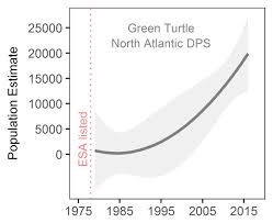 Study 77 Percent Of Marine Mammals Sea Turtles Recovering
