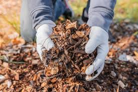 mulches for the home landscape