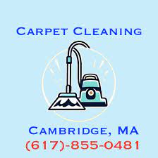 about carpet cleaning cambridge ma