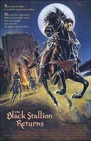 The black stallion book series is a wonderful series of young adult, children's books, classics, and fiction novels. The Black Stallion Returns Wikipedia