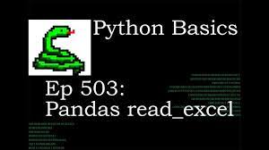 python basics pandas read excel