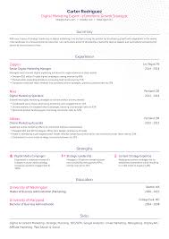 13 digital marketing resume exles