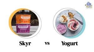 skyr vs yogurt key differences and