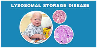 lysosomal storage disease types