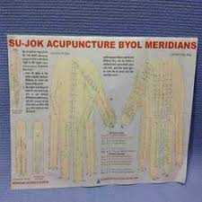 Sujok Acupuncture Byol Charts