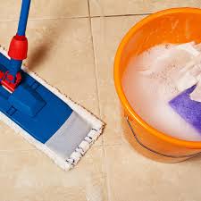tile cleaner with natural ings