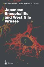 These new genotypes were not associated with large outbreaks in the community. Japanese Encephalitis And West Nile Viruses Springerlink