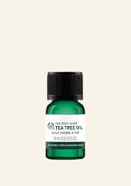 tea tree oil for skin purify oily