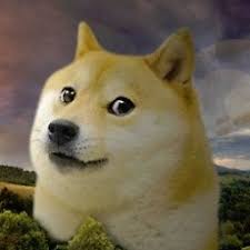 Swole doge, also known as buff doge, refers to a popular edit of doge which imagines the character having the edit gained significant popularity in memes in major doge meme pages on facebook. King Doge Pls Read Description Warning Loud By Noobnyan Loudly