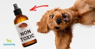 natural flea treatments for dogs dogs
