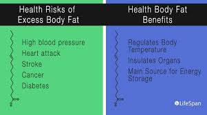 Health Metric Measurements Calculating Body Fat Percentage