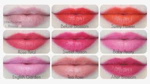 Official website of etude for global customers! Etude House Rosy Tint Lips Rose Petal Hd Png Download Transparent Png Image Pngitem